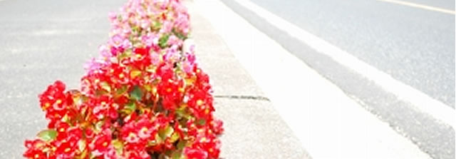 花のプロムナードイメージ